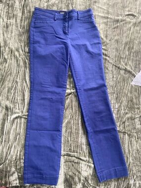 Express Deep Blue Straight Leg Pants